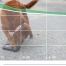video analytics