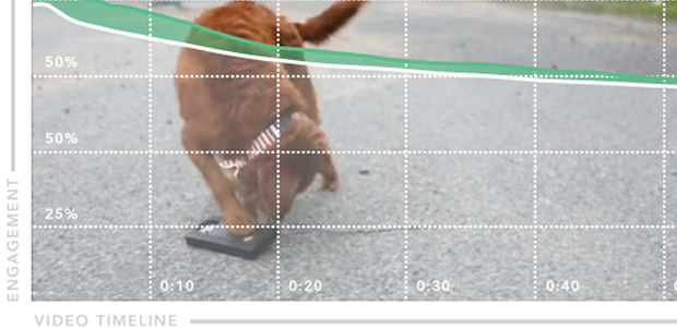 video analytics